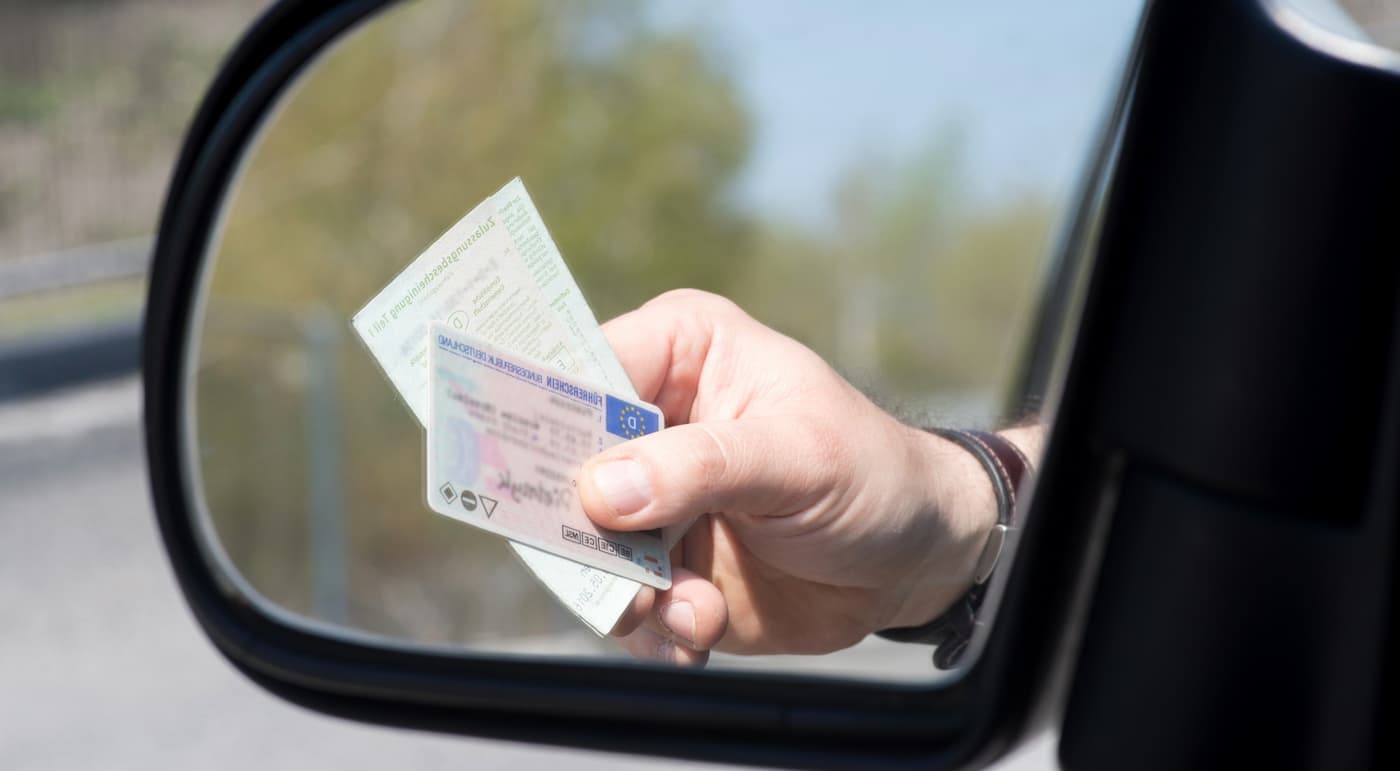 renovación carnet de conducir